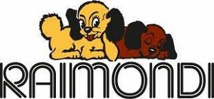 Raimondi Tile Tools & Installation Systems