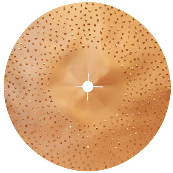 Raimondi Maxititina Floor Machine 16 Grit Double Sided Carbide Disc - DRP Tools